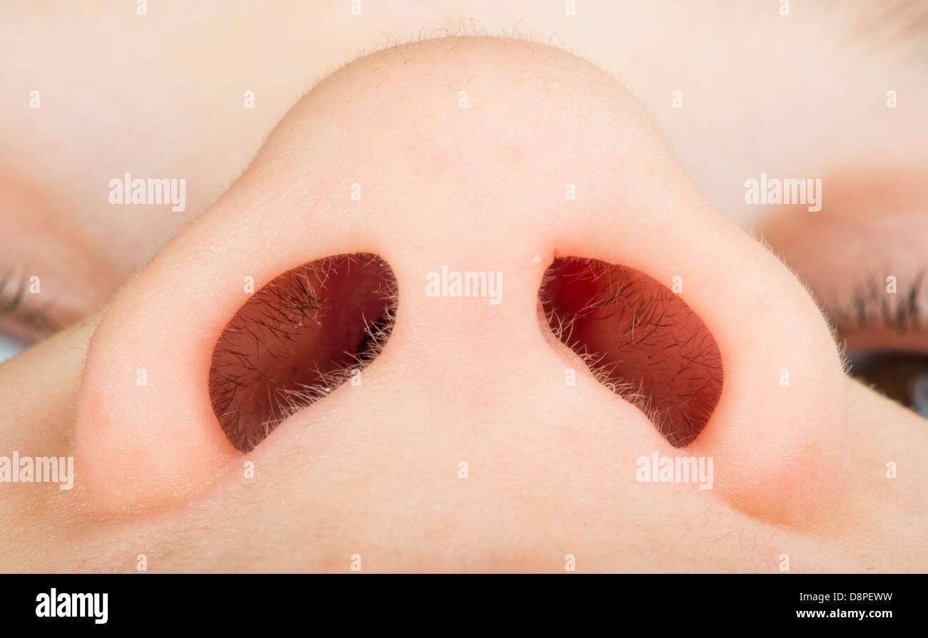 Human nose close up studio shot. Lowest view point Stock Photo