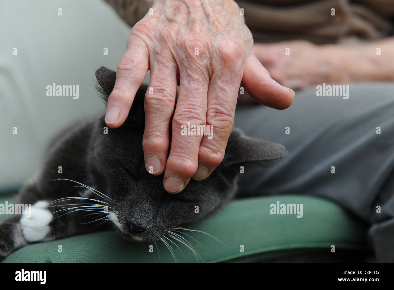 Male arthritic hands hires stock photography and images Alamy