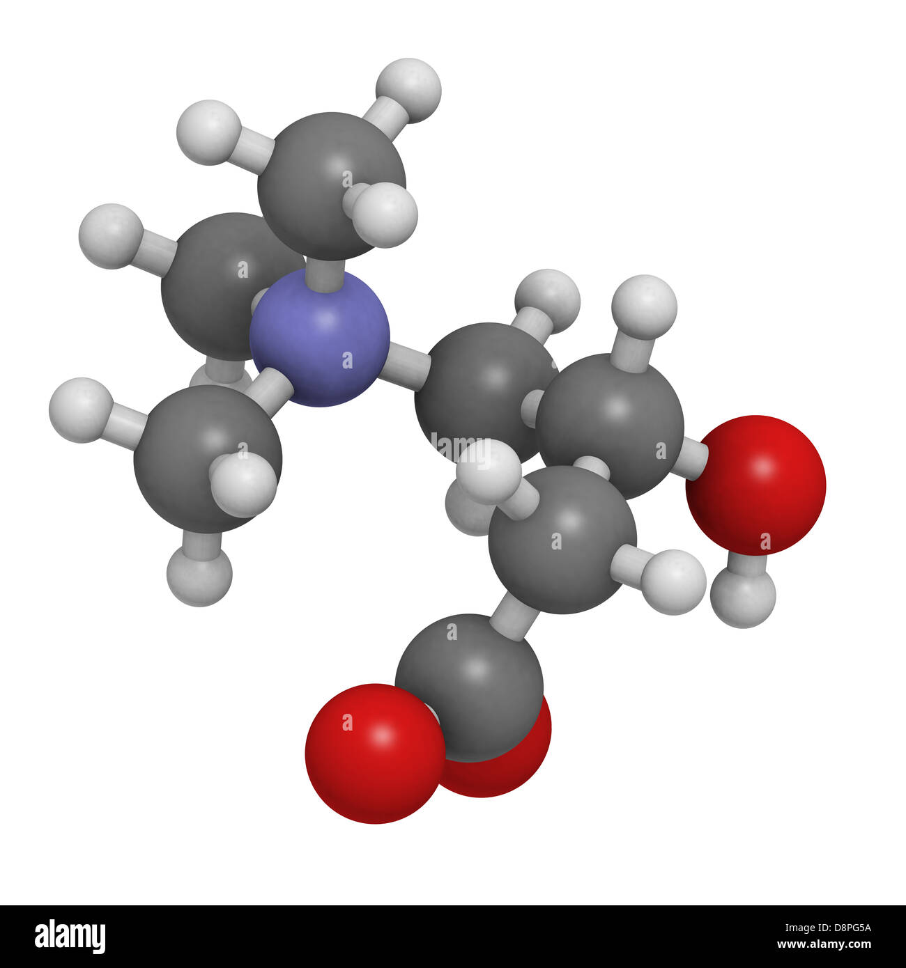 Carnitine food supplement molecule, chemical structure. Atoms are