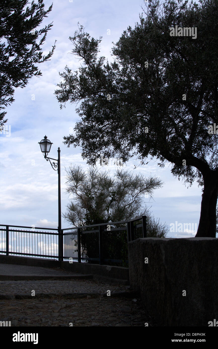 A strong backlight of a olive tree and a old lamp on a ligurian Lookouts Stock Photo