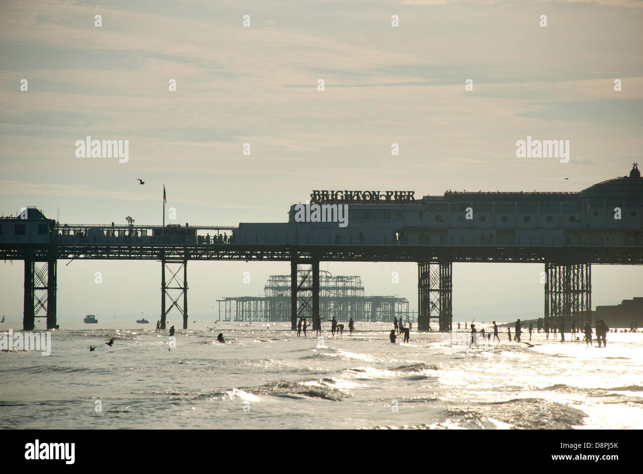 A late afternoon summer view of people in the low tide at Brighton beach. Stock Photo
