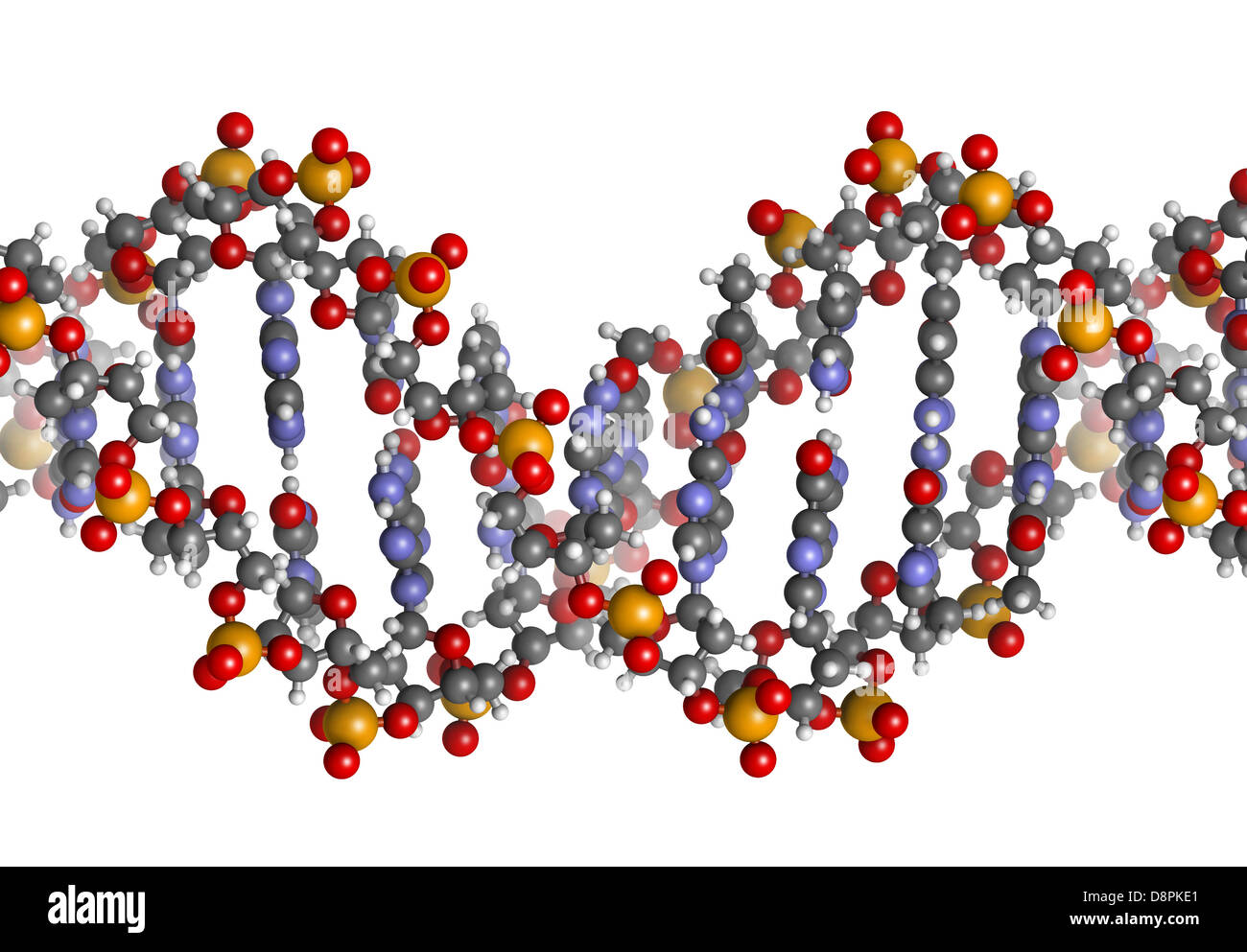 DNA structure. Computer model of part of the gene for human growth