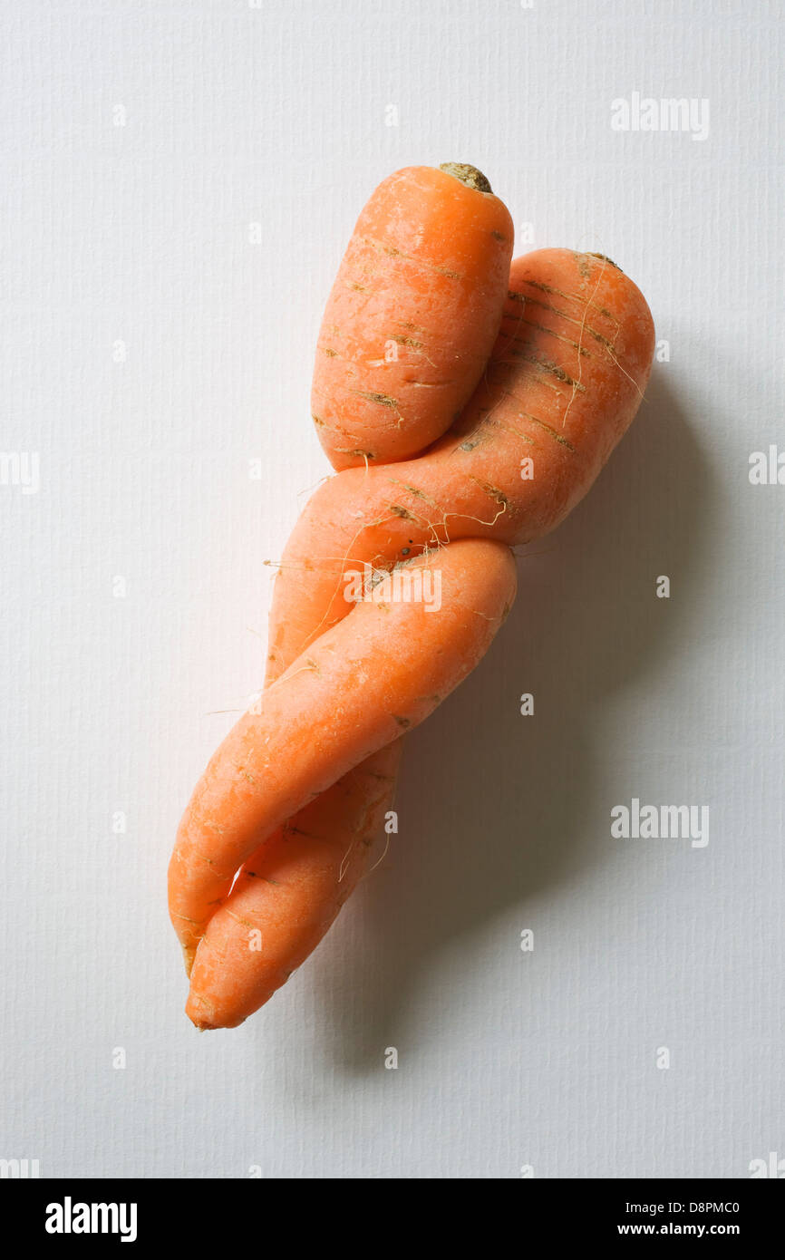 Two carrots twisted together. Stock Photo