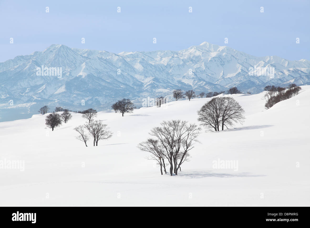 Trees in the snow and Myoko mountain range, Niigata Prefecture Stock Photo