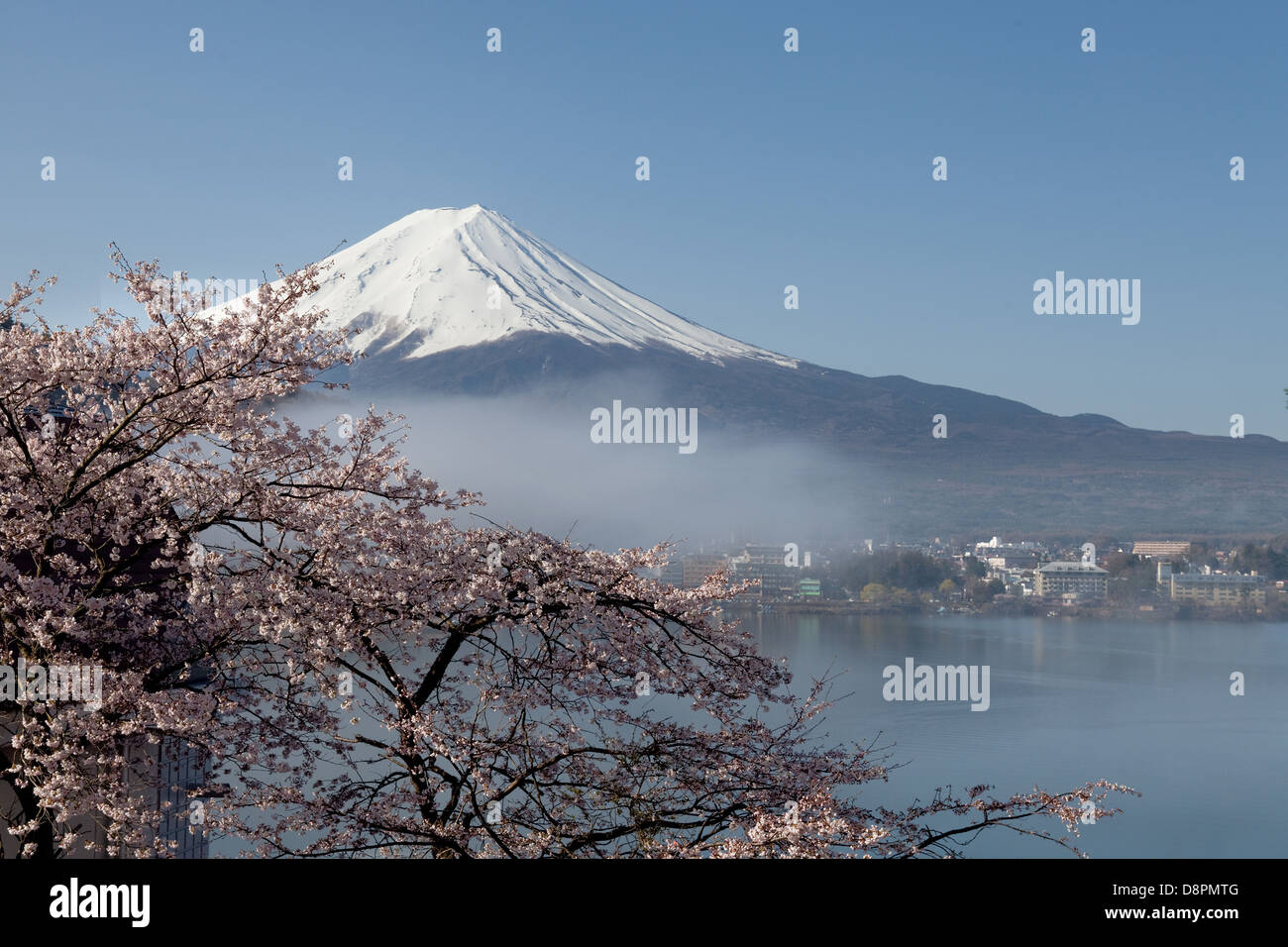 Mount Fuji and Lake Kawaguchi Stock Photo