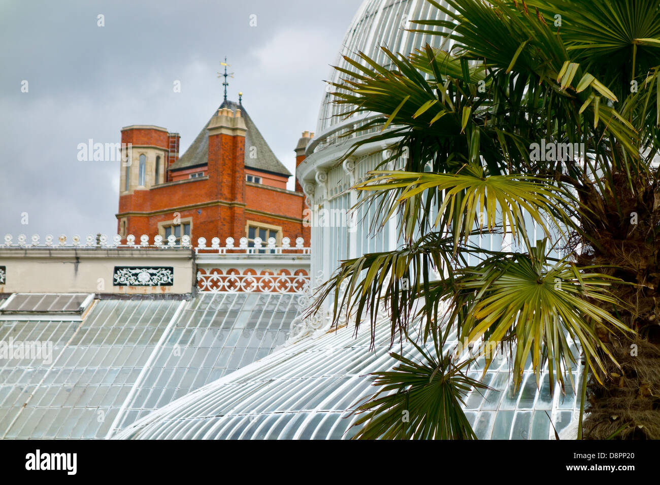 Palm House Belfast Botanic Gardens Stock Photo