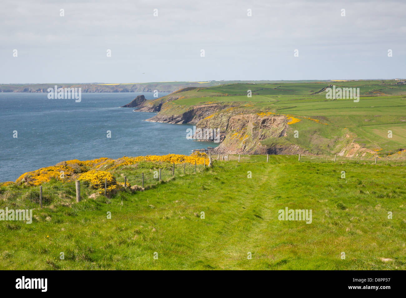 Haroldstone Chins from Wales Coast Path 