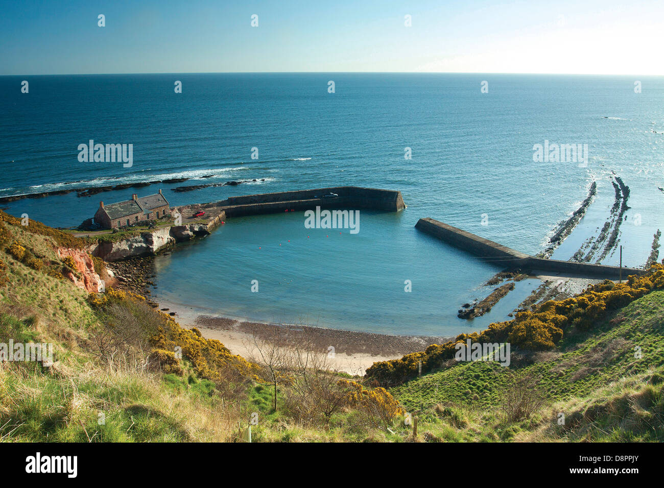 Cove Harbour, Cove, Scottish Borders Stock Photo Alamy