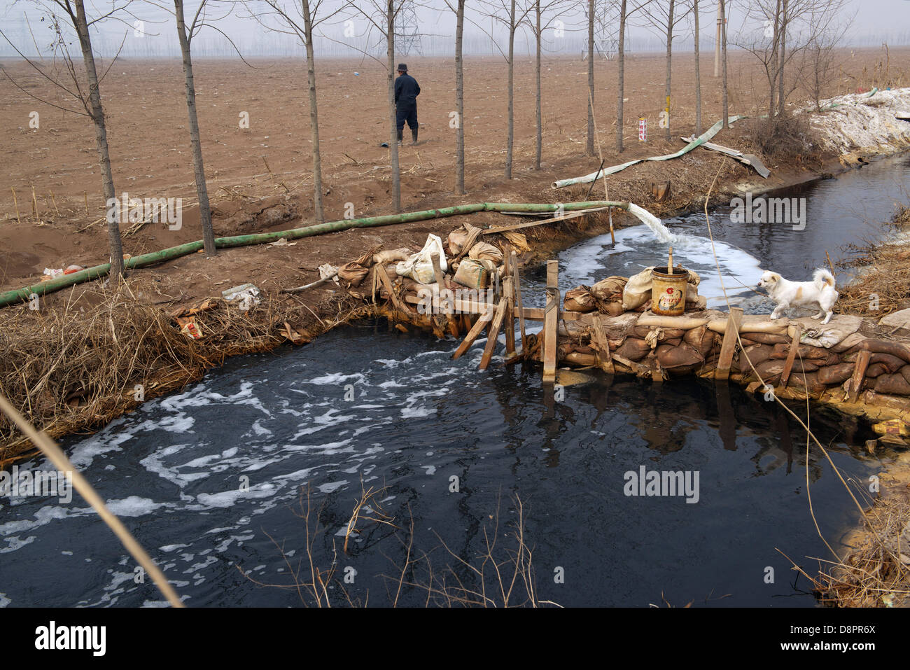 A field ditch becames deep black by the industrial waste water from factories in XinAn town, Langfang City, Hebei, China. 2013 Stock Photo