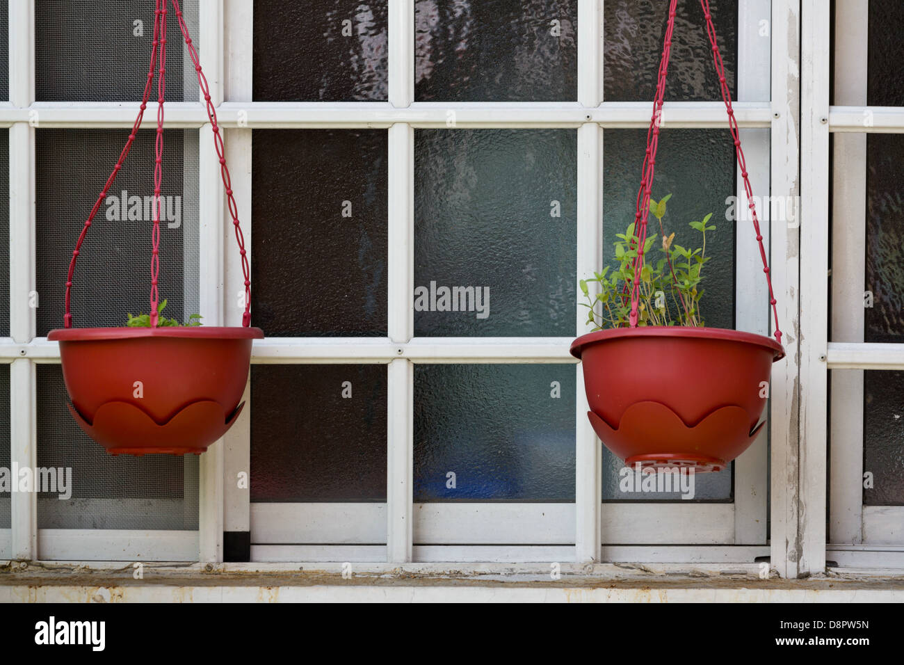 Plant Pots in a Window in Manila, Philippines Stock Photo Alamy