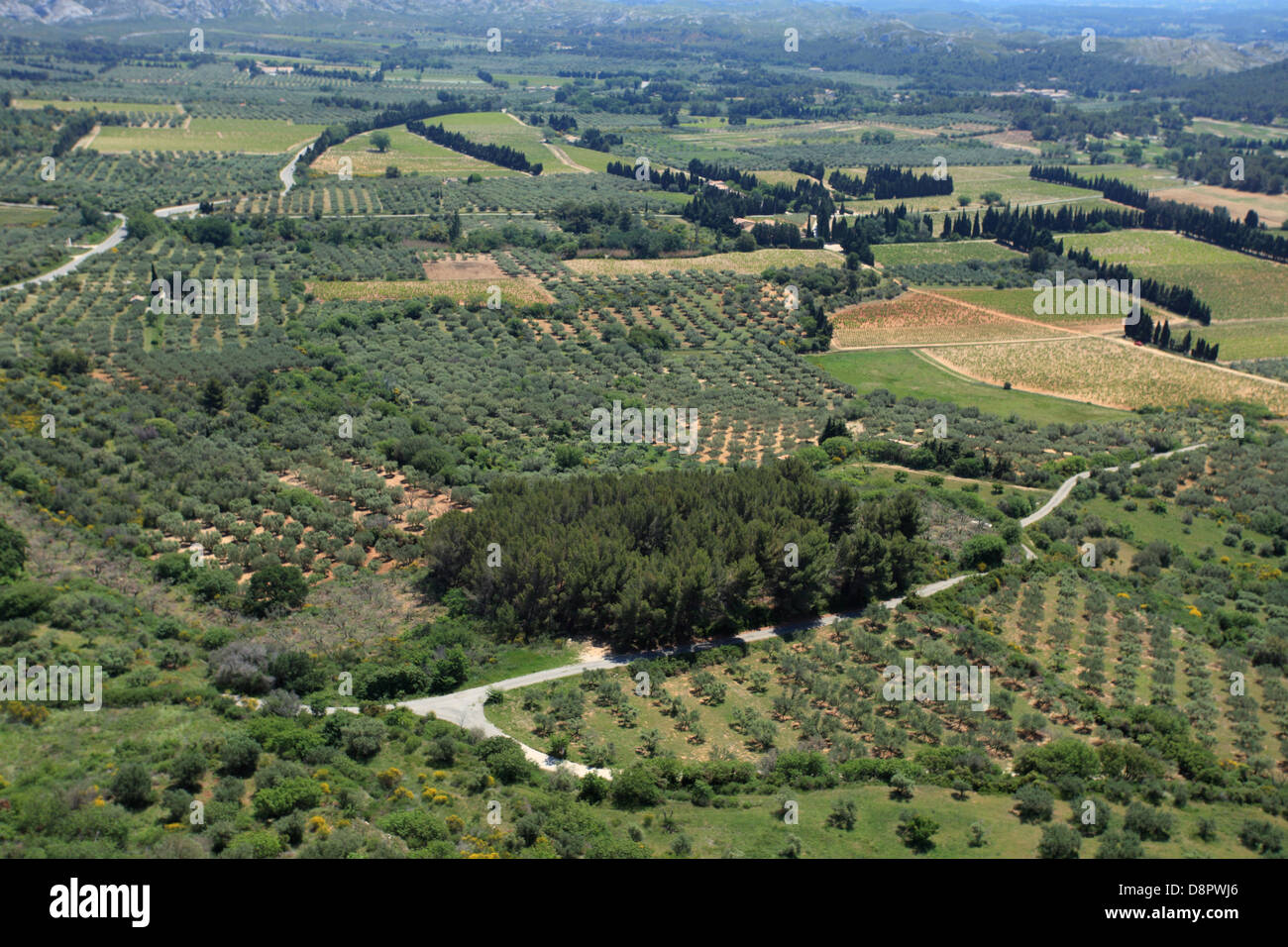 Landscape near the medieval village of Les Baux de Provence in the Alpilles, Provence. Stock Photo