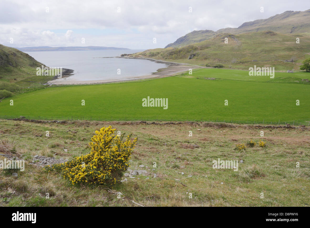 View of Camas nan Geall on the Ardnamurchan peninsula Stock Photo - Alamy