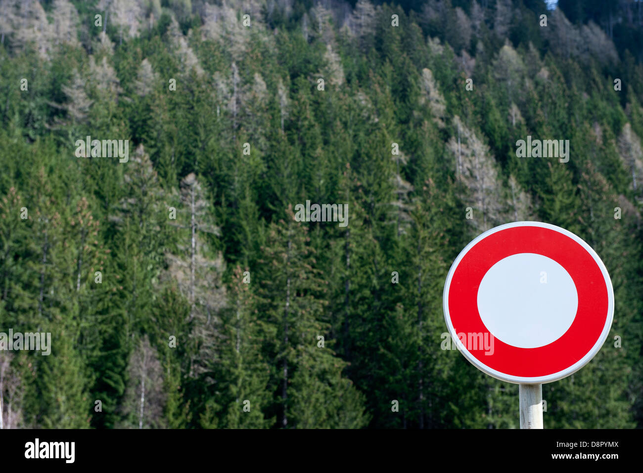 No vehicles sign in front of forest Stock Photo - Alamy