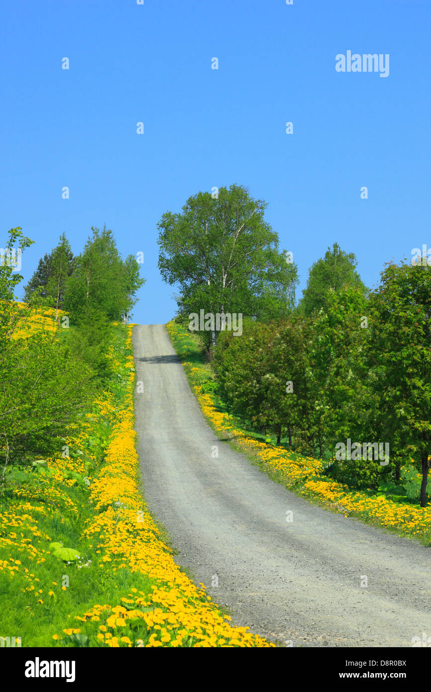 Road and grassland Stock Photo Alamy