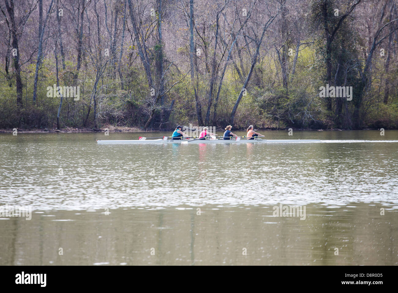 Four women rowing a boat in a river Stock Photo