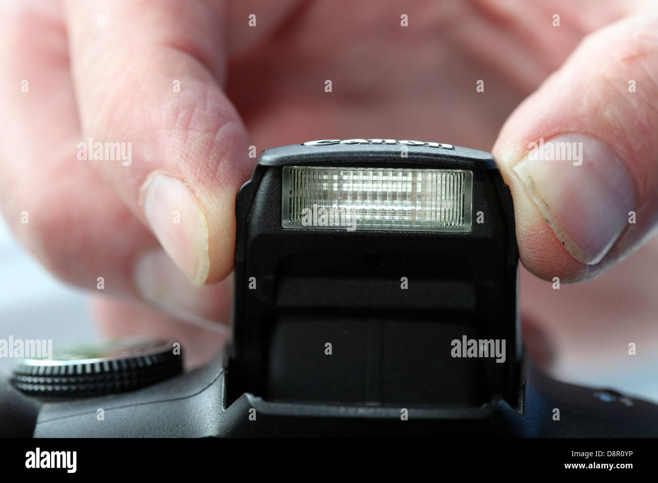 A photographer holds the the flash of a camera Stock Photo - Alamy