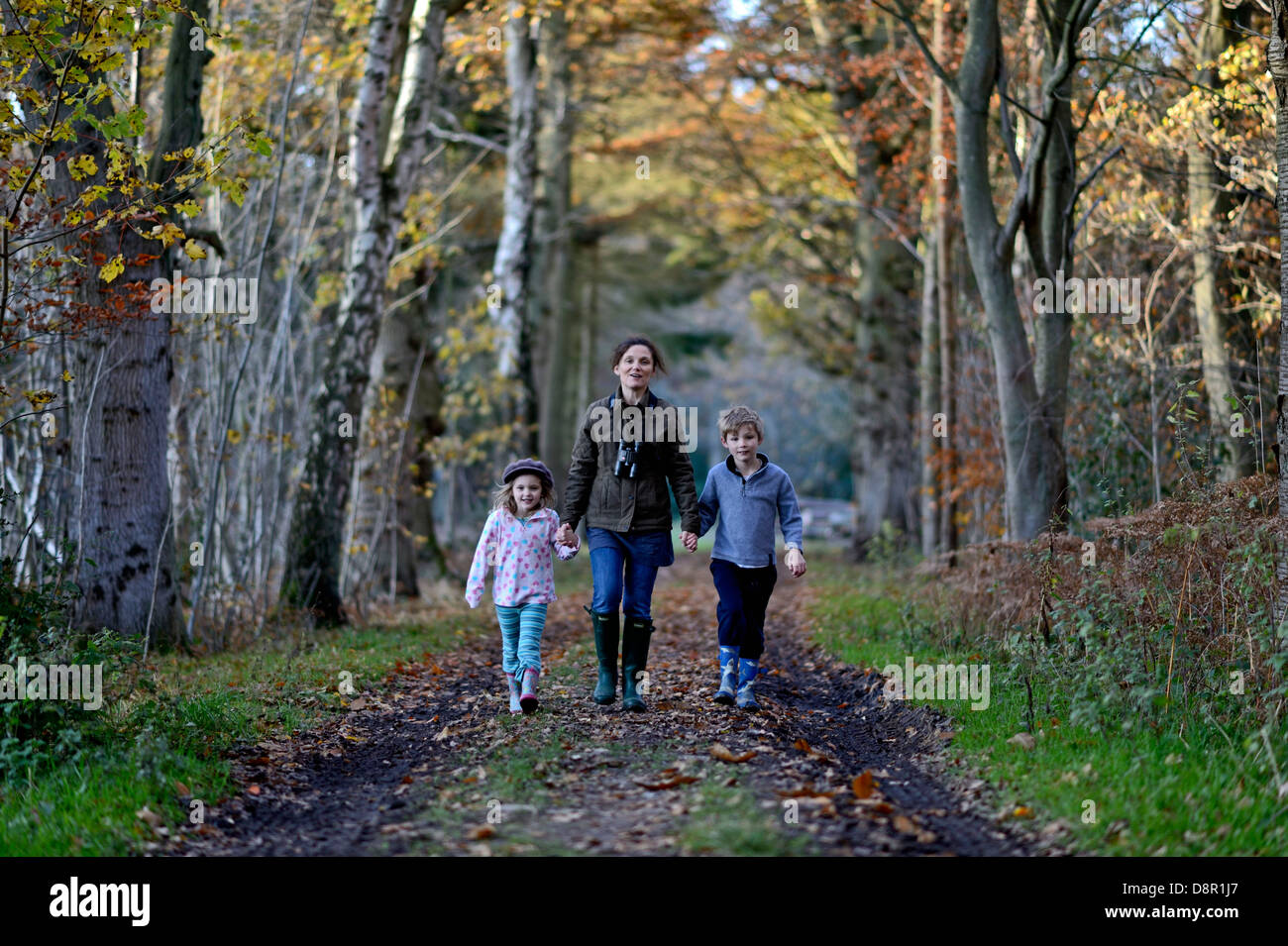Mother, son and daughter on woodland walk in autumn Norfolk Stock Photo
