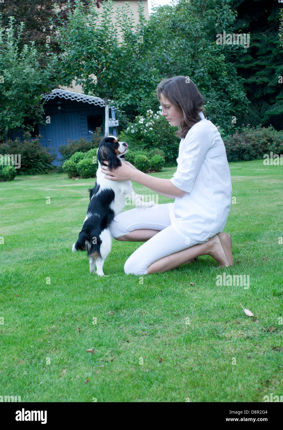 Girl playing with pet dog in backyard Stock Photo - Alamy