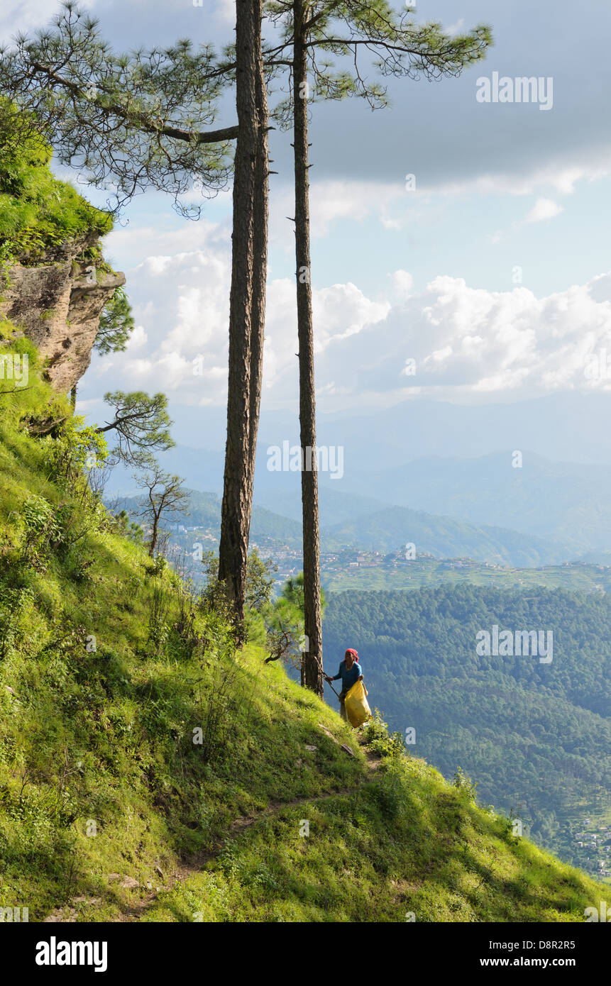 Himalayan range, Almora, Uttarakhand, India Stock Photo
