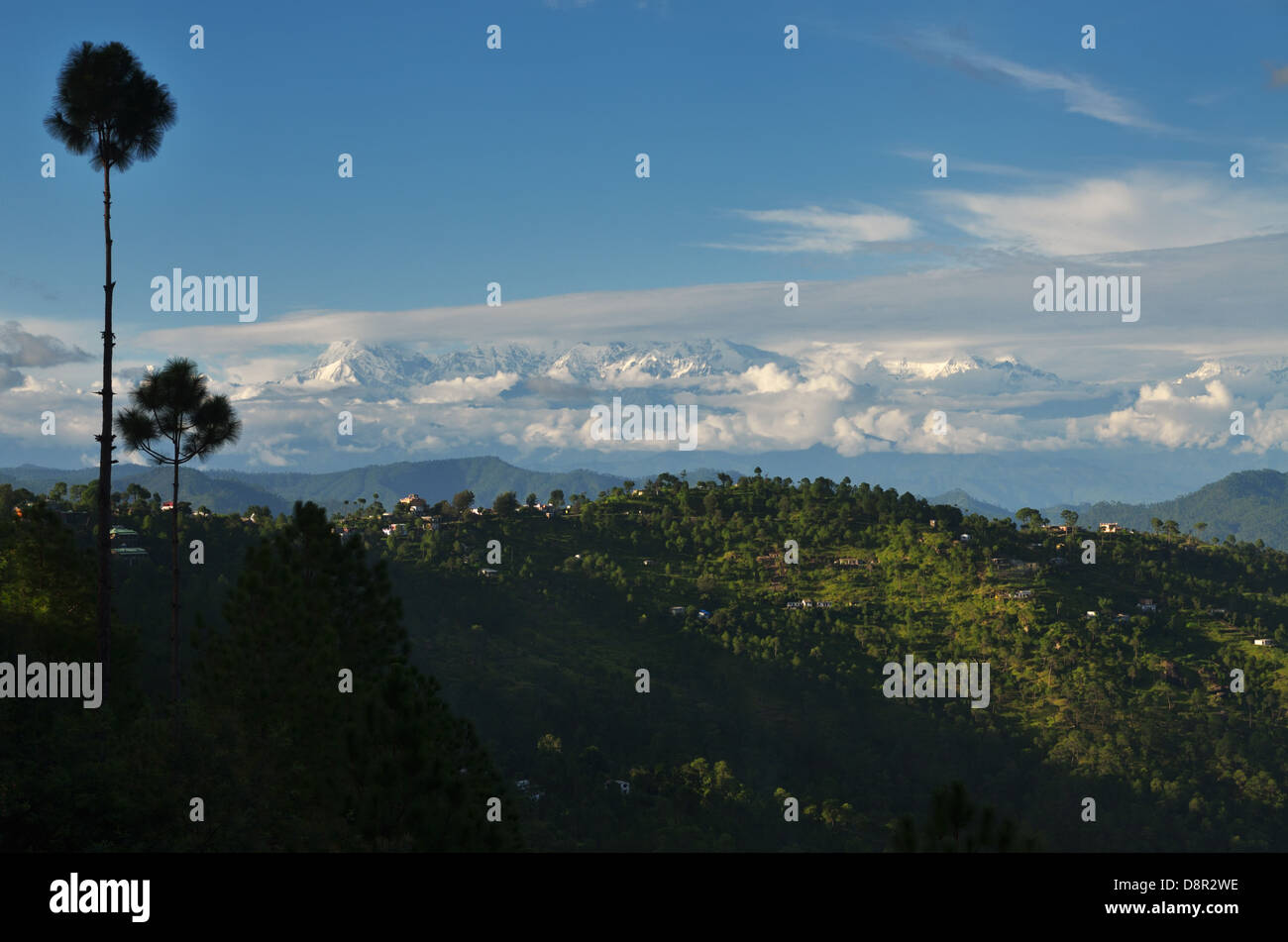 Village in the Kumaon region with Himalayas in background, Almora, Uttarakhand, India Stock Photo