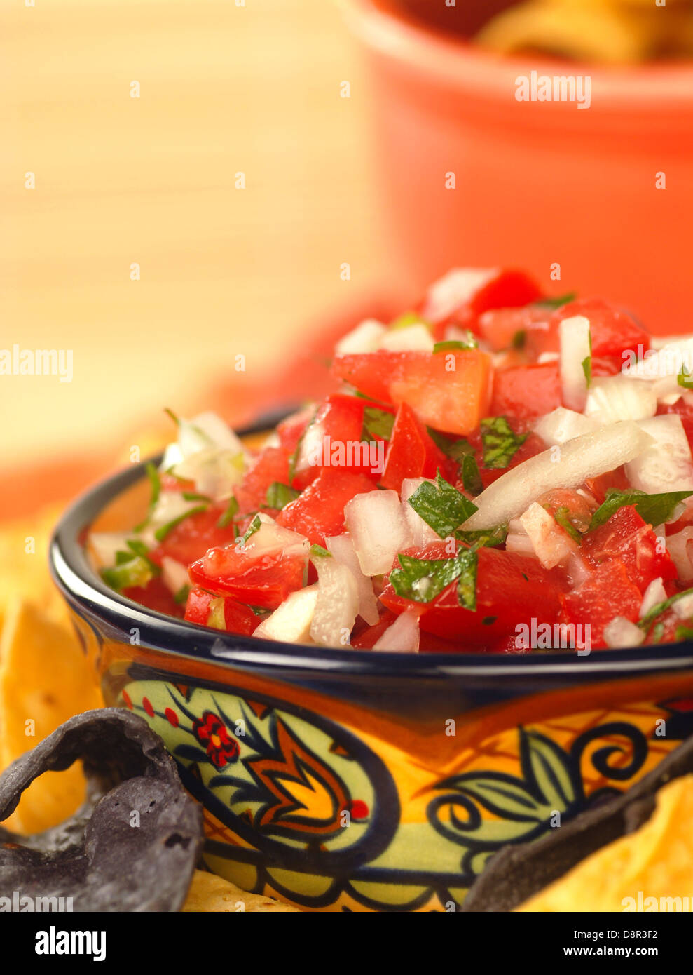 Fresh pico de gallo salsa with tortilla chips Stock Photo Alamy
