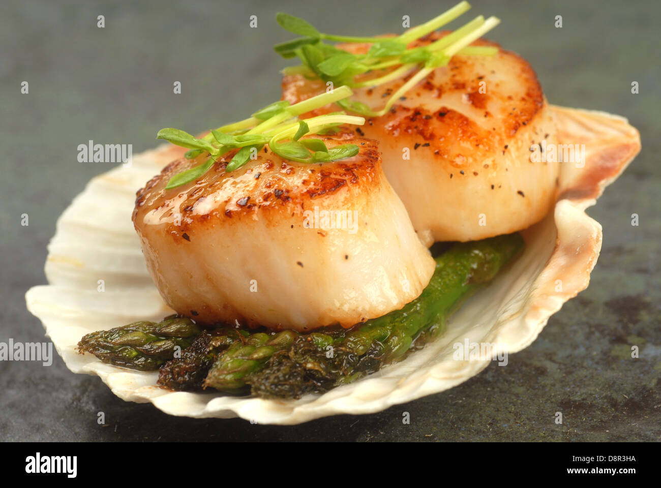 Delicious pan seared sea scallop with asparagus and pea shoots served