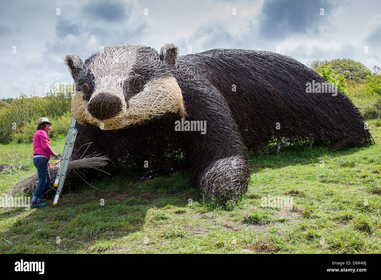 Willow badger sculpture at the Welsh Wildlife Centre, near Cardigan, Ceredigion, Wales Stock Photo