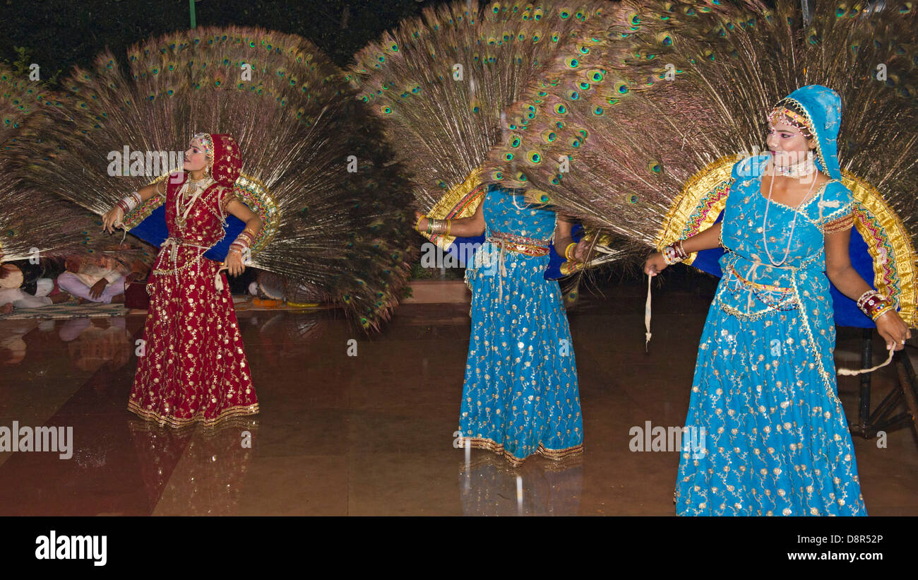 Peacock dance hires stock photography and images Alamy