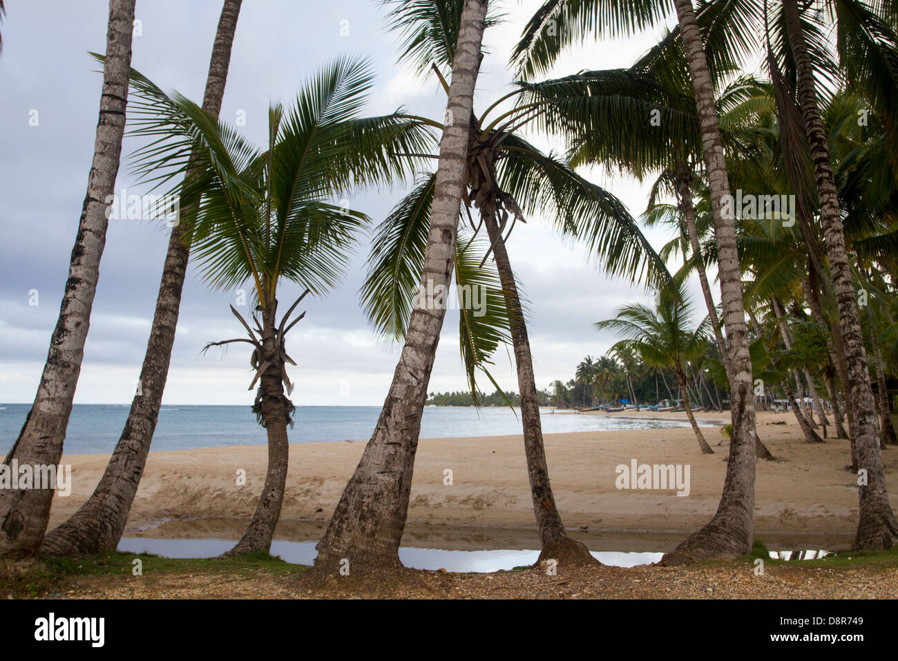 Las Terrenas, Dominican Republic Stock Photo Alamy