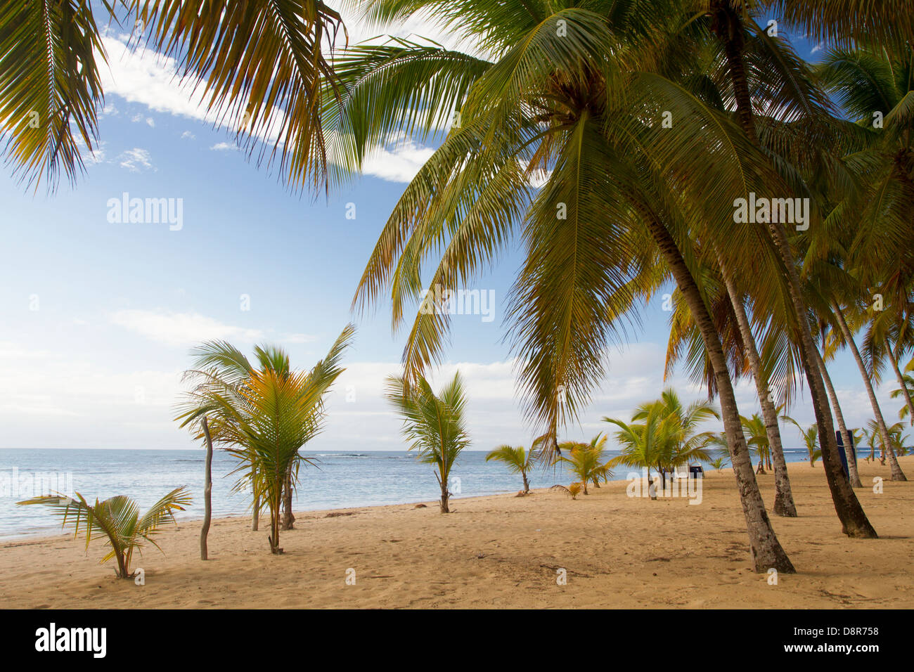 Las Terrenas, Dominican Republic Stock Photo Alamy