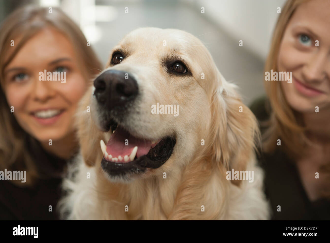 Teen girl and young woman with golden retriever Stock Photo - Alamy