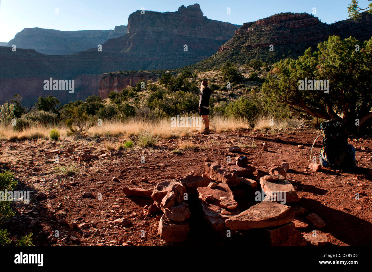 Watching the morning come to life after sleeping overnight in Grand Canyon National Park, Arizona, USA. Stock Photo