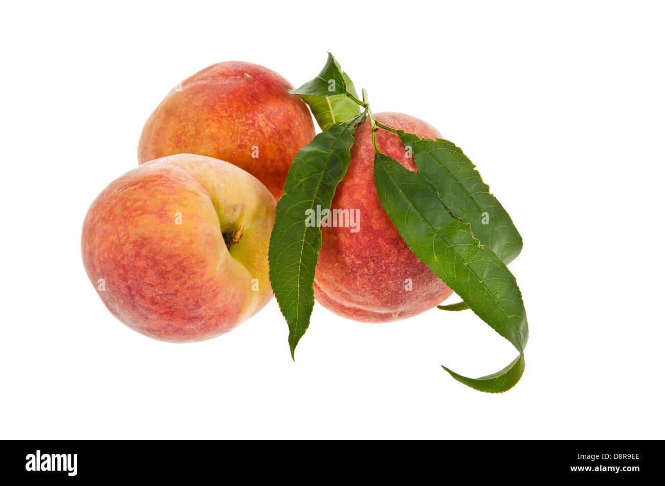 Fresh, juicy, peach fruits isolated over white background Stock Photo