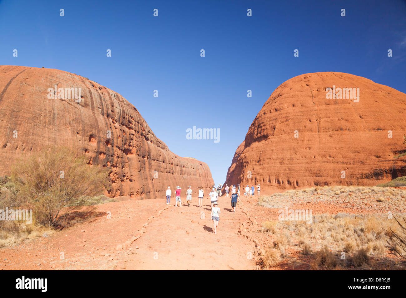 Kata Tjuta (mount Olgas) in the outback, red centre, Northern Territory, Australia. Stock Photo