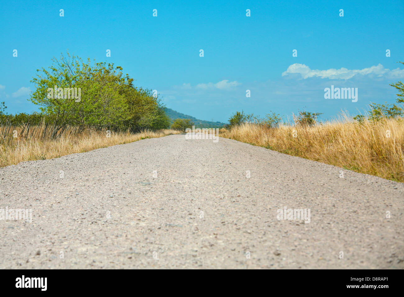 Off-road track in country Stock Photo