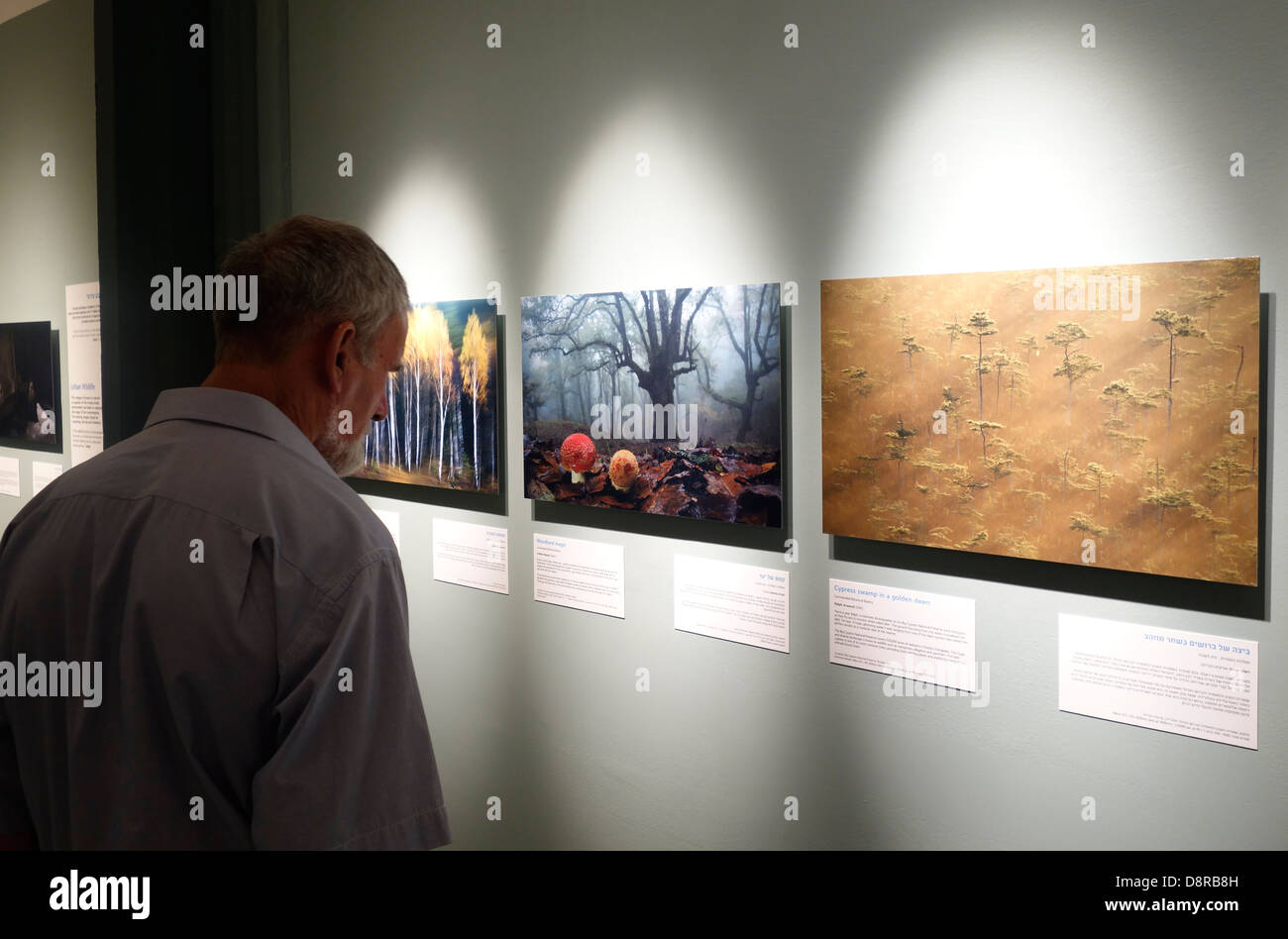 A visitor looking at a wildlife photography exhibition in Eretz Israel Museum a historical and archeological museum in the Ramat Aviv neighborhood of Tel Aviv Israel Stock Photo