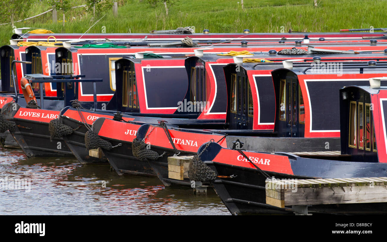 Rows of Shakespeare classic holiday rental house named boats moored on Trent and Mersey Canal; moorings at Mercia Marina, Willington, Derbyshire, UK Stock Photo
