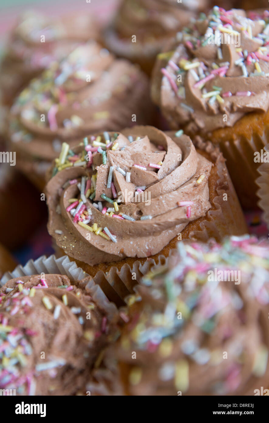 Chocolate cupcakes Stock Photo