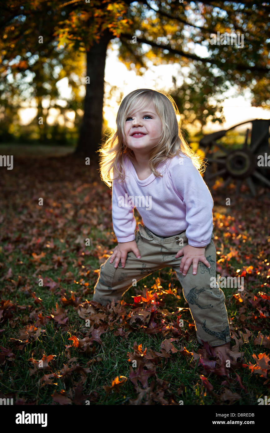 Friendly toddler standing on a blanket of autumn leafs with the setting sun behind a big tree. Stock Photo