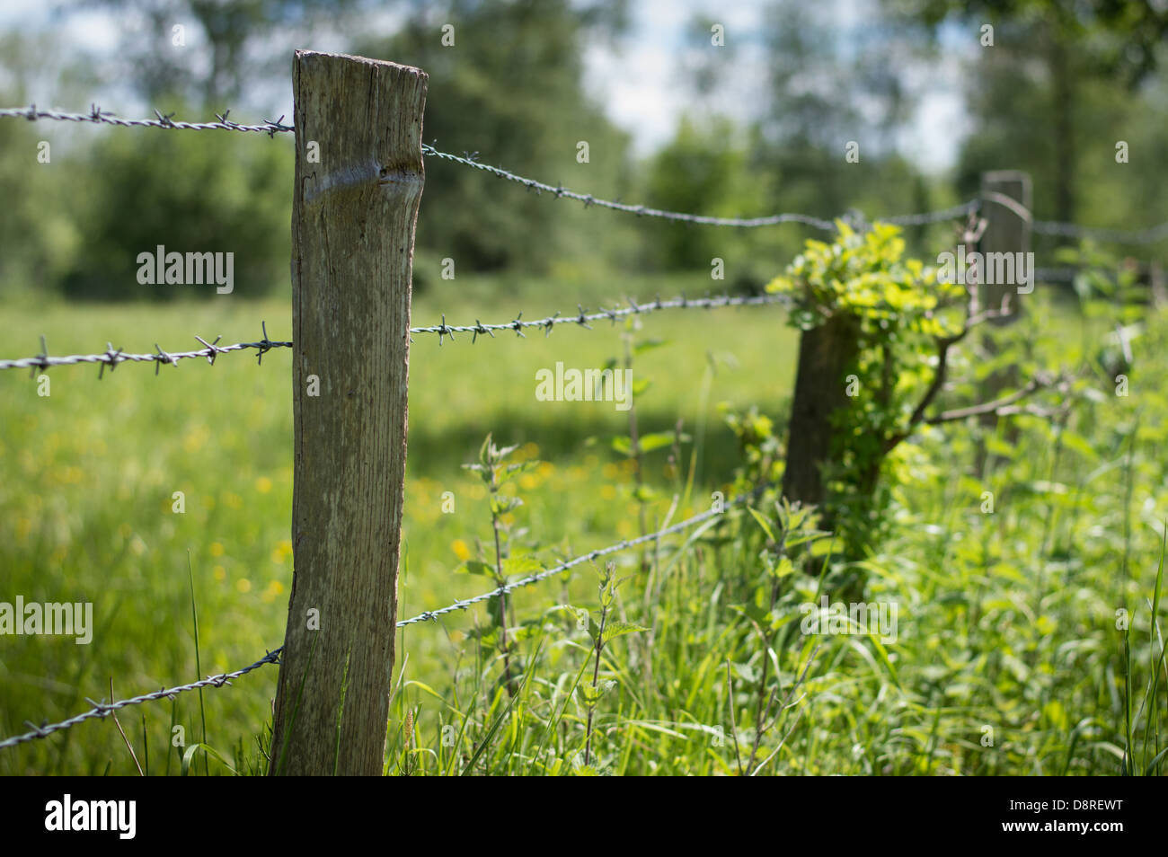 A barbed wire fence at the edge of a field in the countryside Stock ...