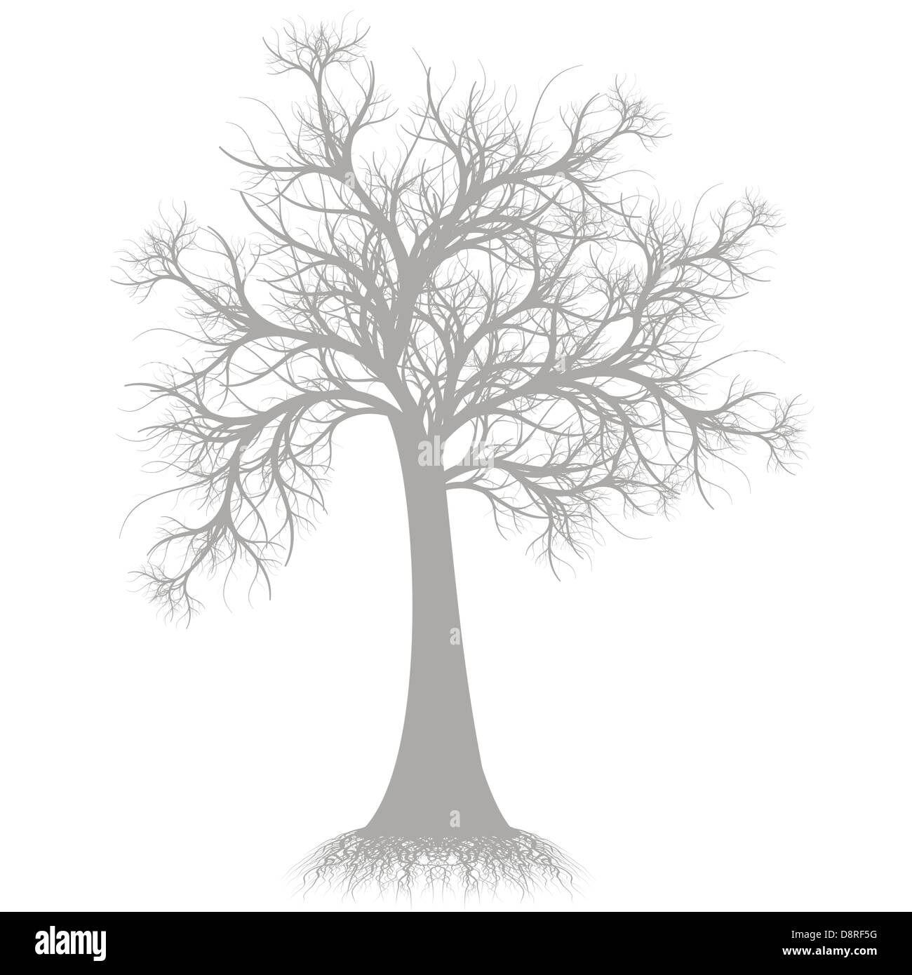 Beautiful art tree silhouette isolated on white background Stock Photo ...