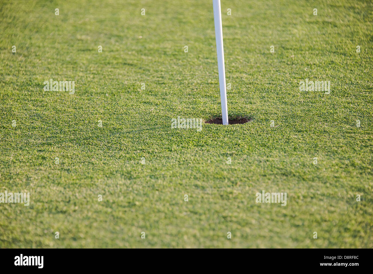 flag in hole on green of golf course Stock Photo