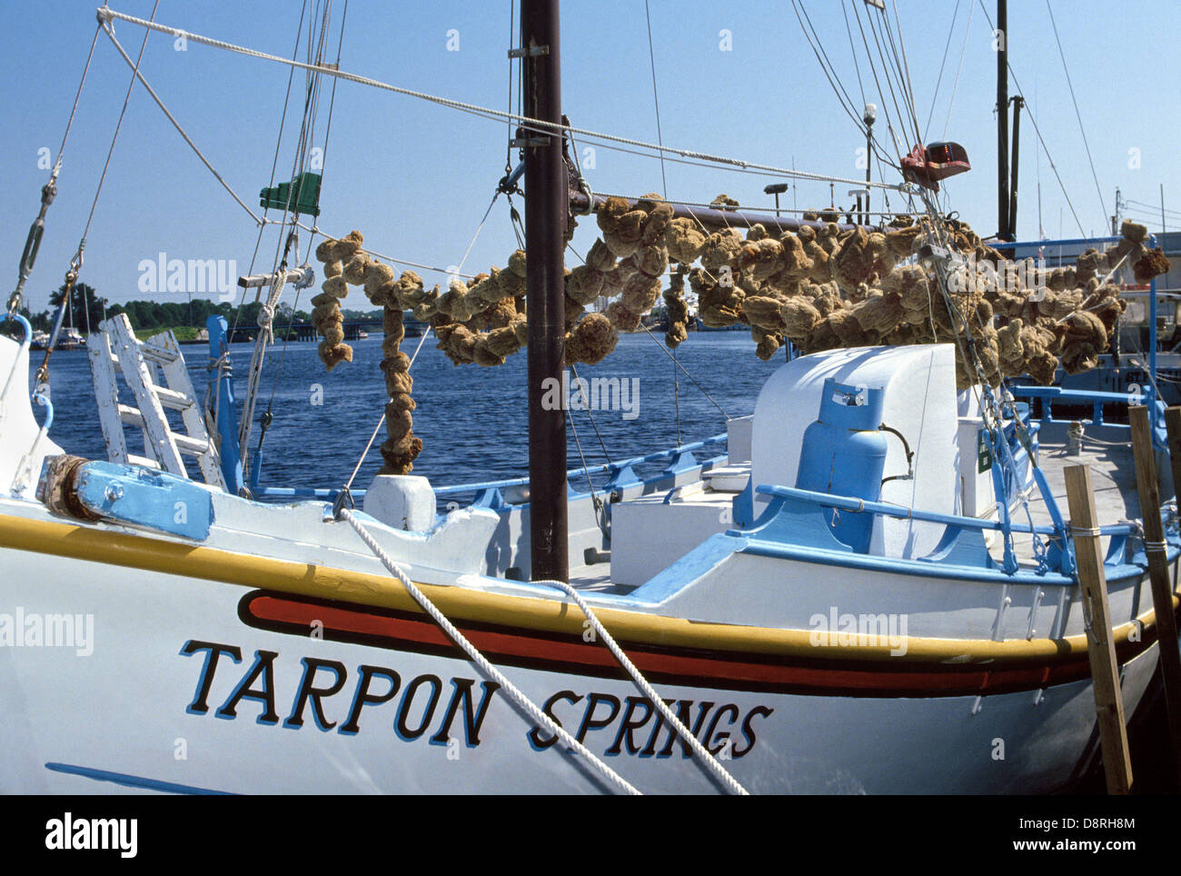 Natural sponges harvested from the Gulf of Mexico are strung up to dry