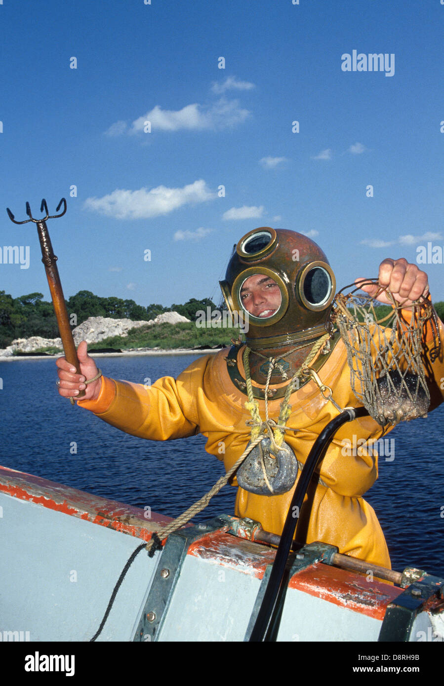 The Sponge Diver