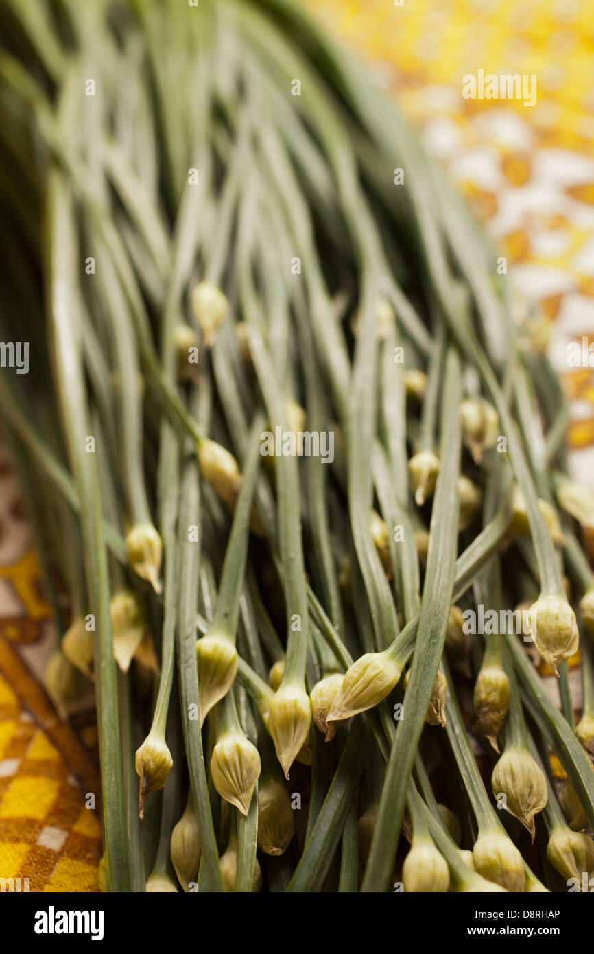 Asian chives hires stock photography and images Alamy