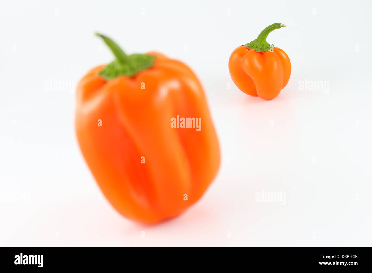 Fresh Orange bell peppers Stock Photo Alamy