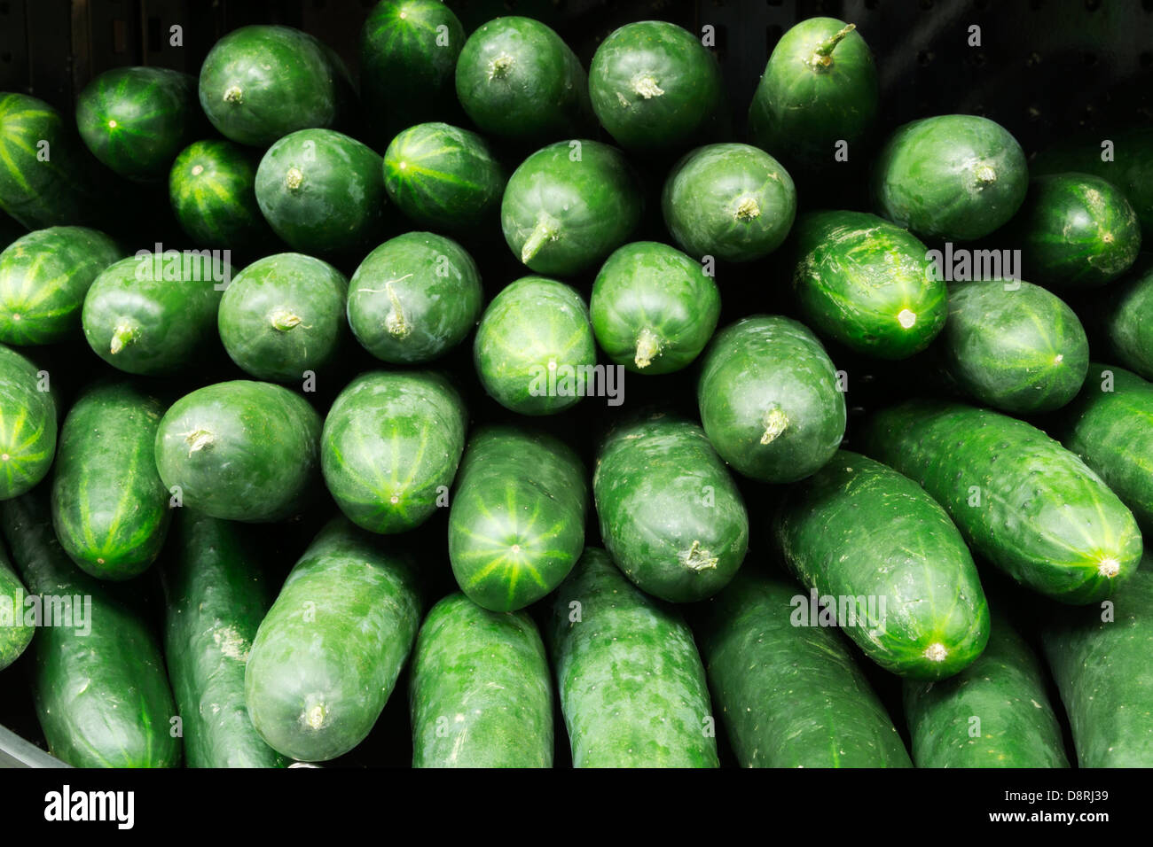 Mini cucumbers hi-res stock photography and images - Alamy