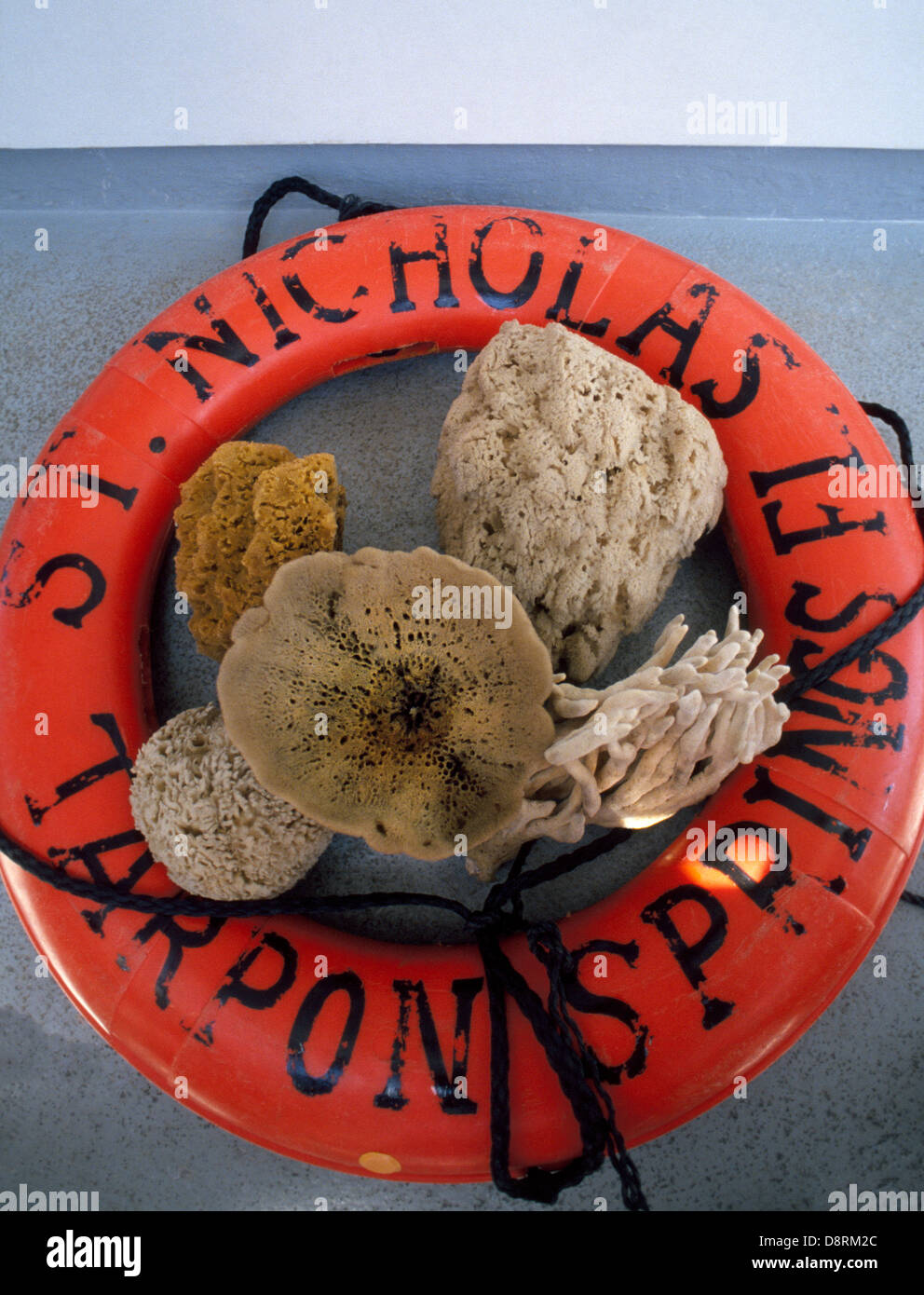 Five types of natural sponges from the Gulf of Mexico are displayed in