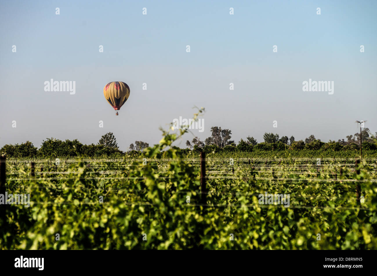 Colorful hot air balloons in flight over wine country at the Temecula Balloon and Wine Festival Stock Photo