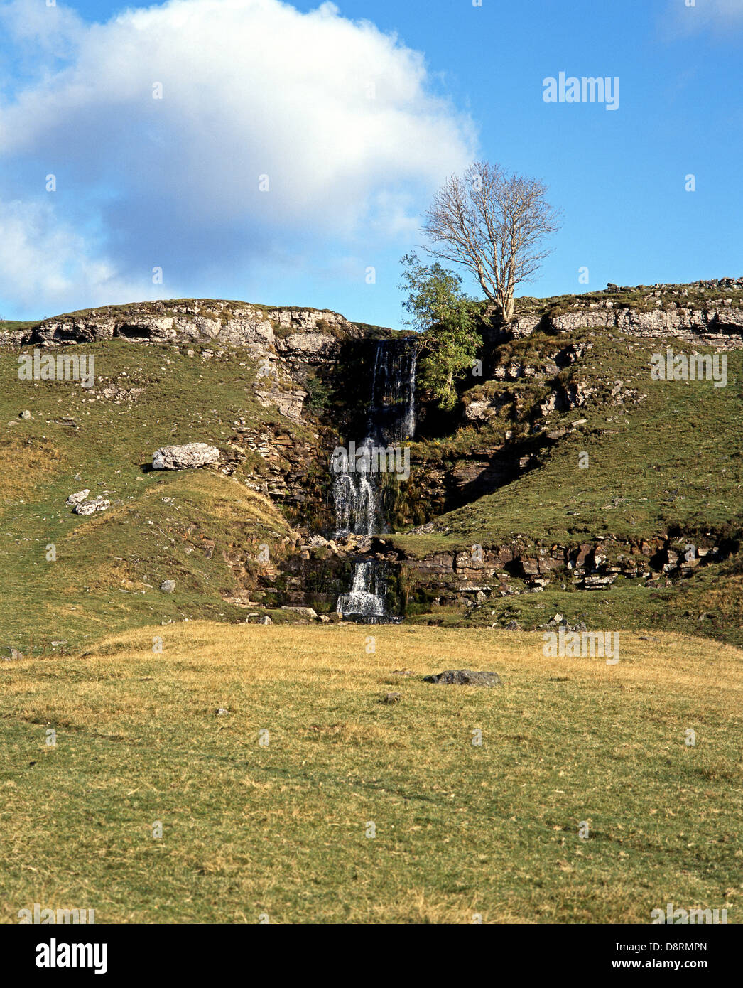 Waterfall on Cow Close, Cray, Yorkshire Dales, North Yorkshire, England, UK, Great Britain, Western Europe. Stock Photo